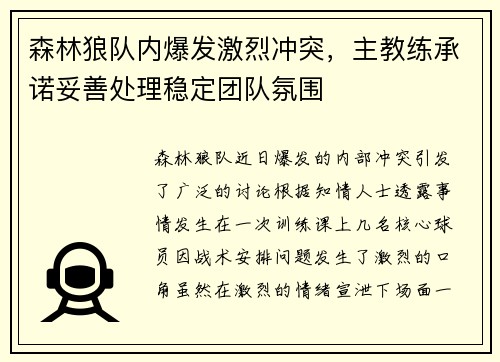 森林狼队内爆发激烈冲突，主教练承诺妥善处理稳定团队氛围